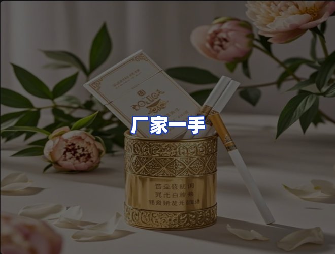 专业团队